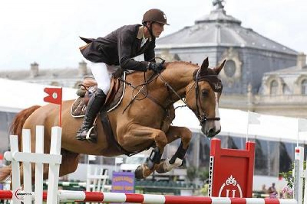 Uchin van de Centaur